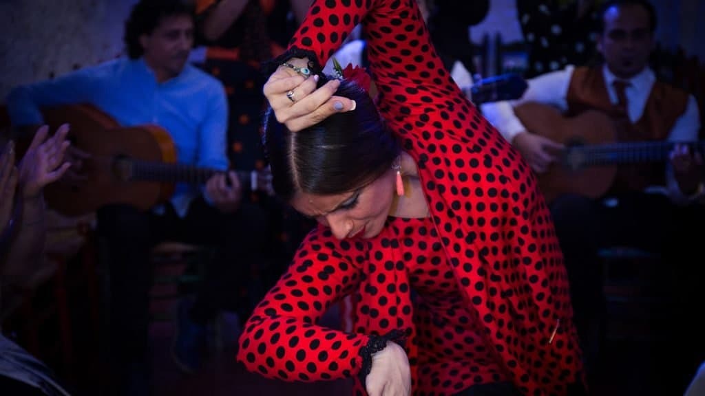 Cultural & Performing Arts: Flamenco Show at Cuevas del Sacromonte