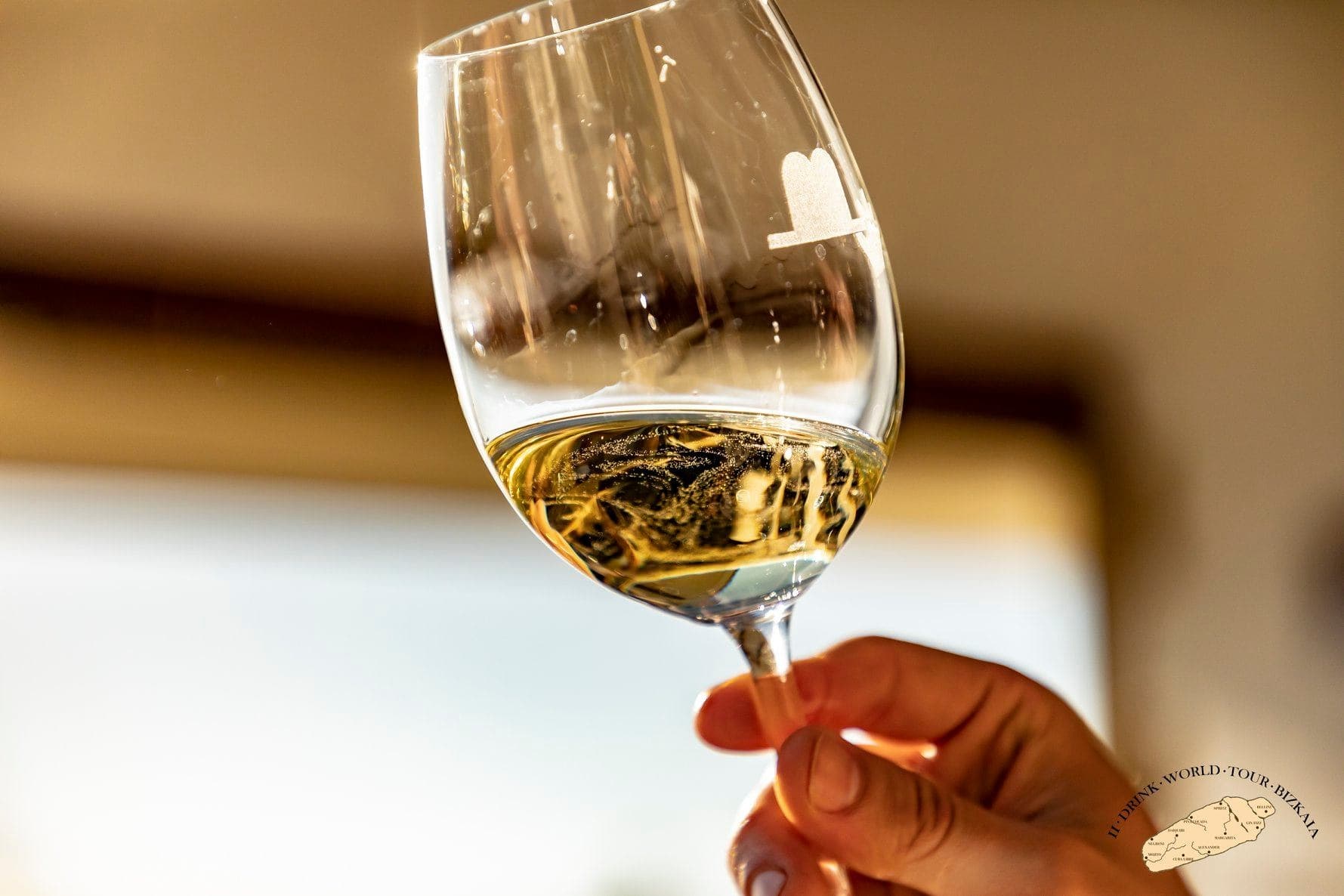 Txakoli Wine Tour from Bilbao with Local Experts Tours