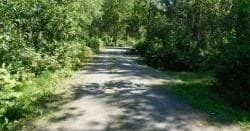 Camping & Outdoors at Montana Creek Campground: Camp Site 42 Guide