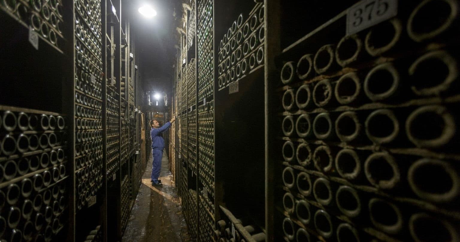 Elciego Winery Tasting Tour by Farm Experiences & Tours