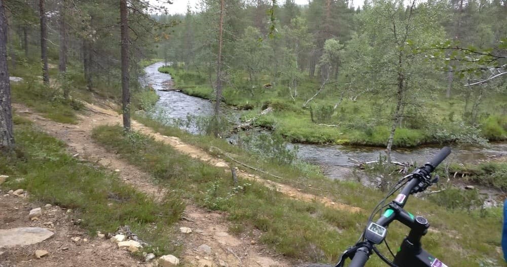 Electric Fat Bike Safari with Northern Lights Village Pyhä