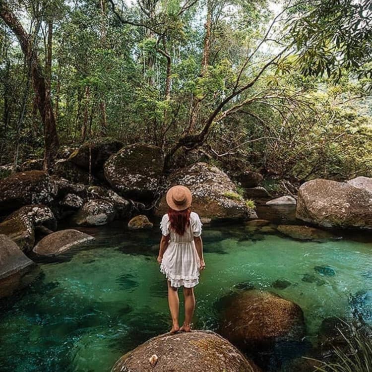 Daintree Rainforest Day Trip from Cairns: Mossman Gorge, River Cruise & Thornton Beach