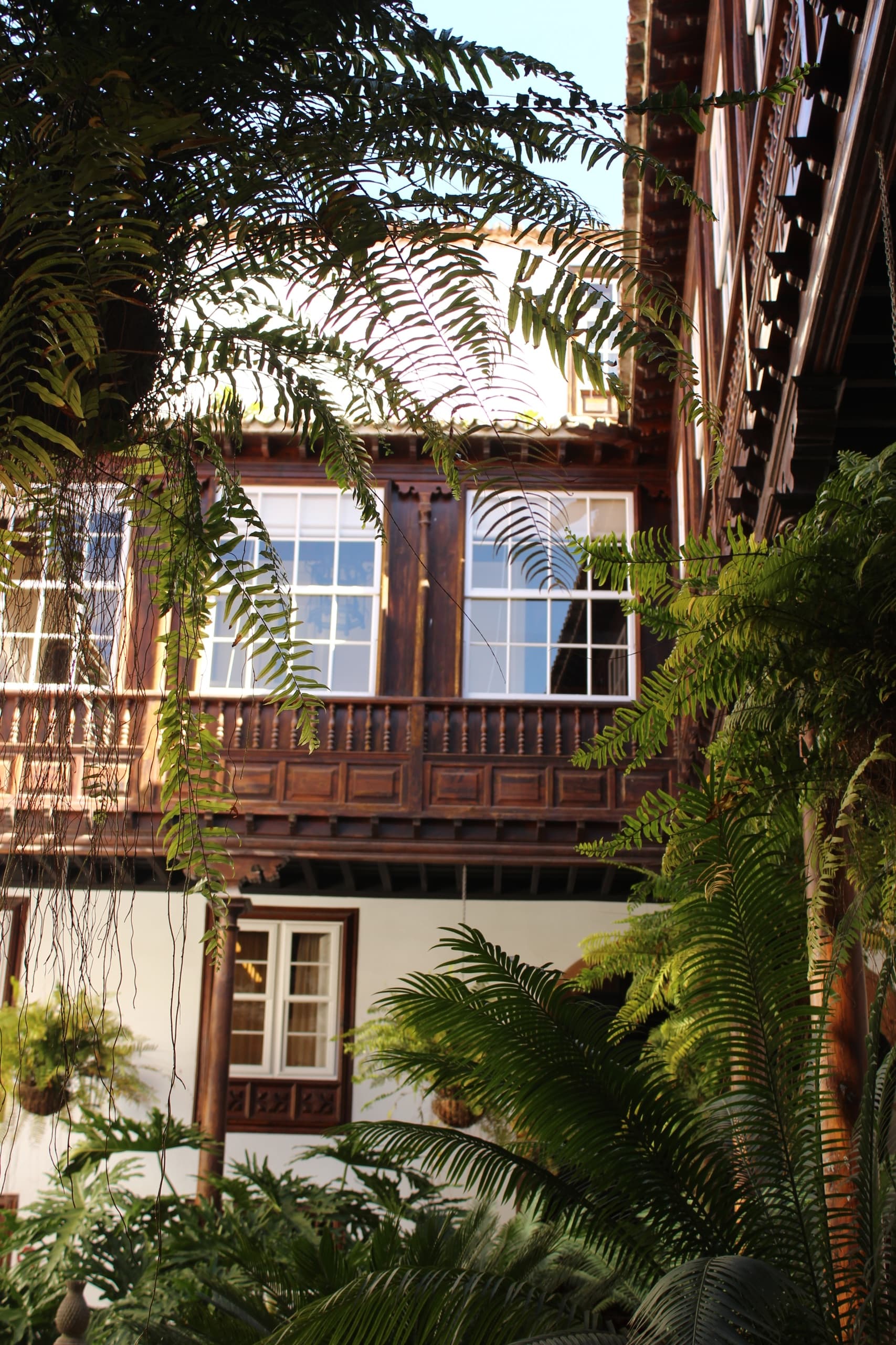 Tenerife Hiking with Tour2B: La Laguna & Anaga Trails