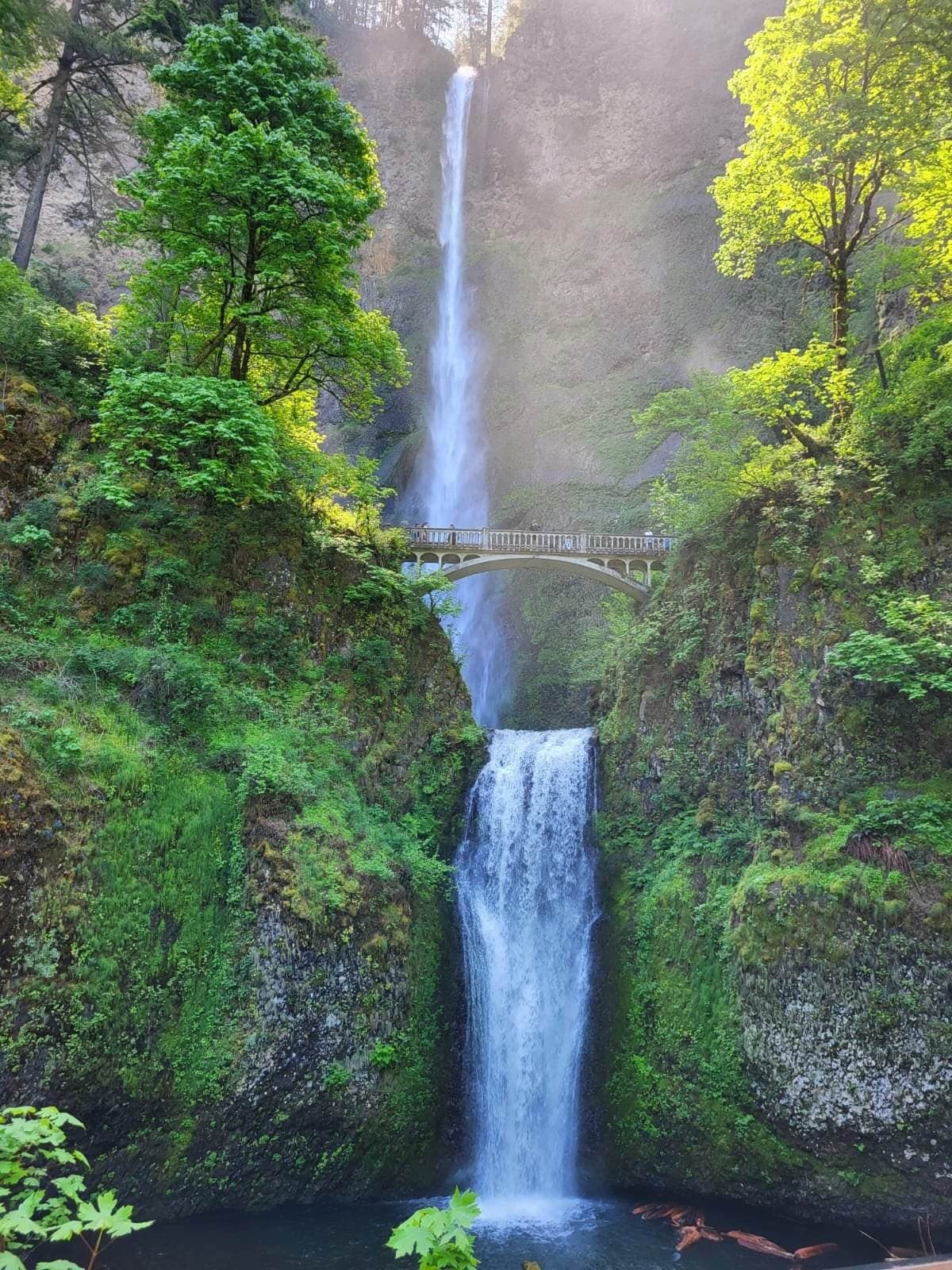 Waterfall cascading in forest gorge, scenic hiking spot