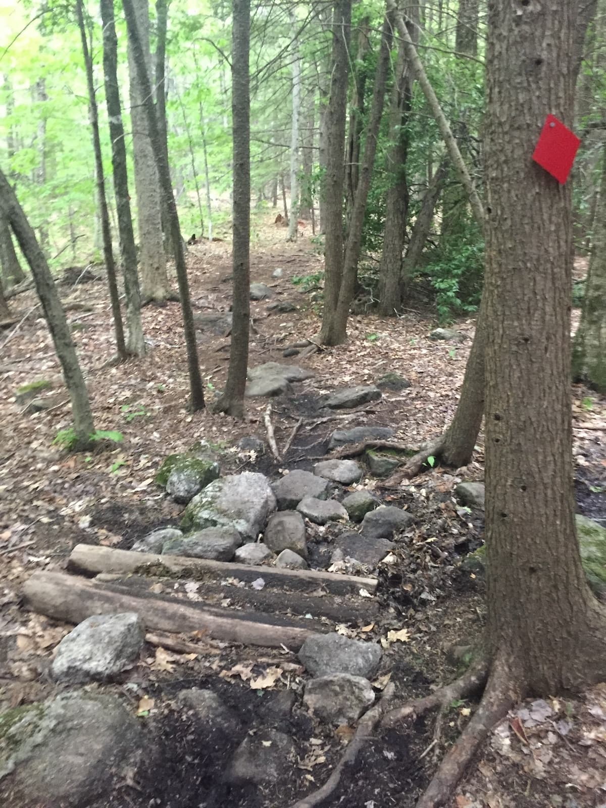 Mountain Biking Clinic at Blackstrap Hill Preserve in Falmouth