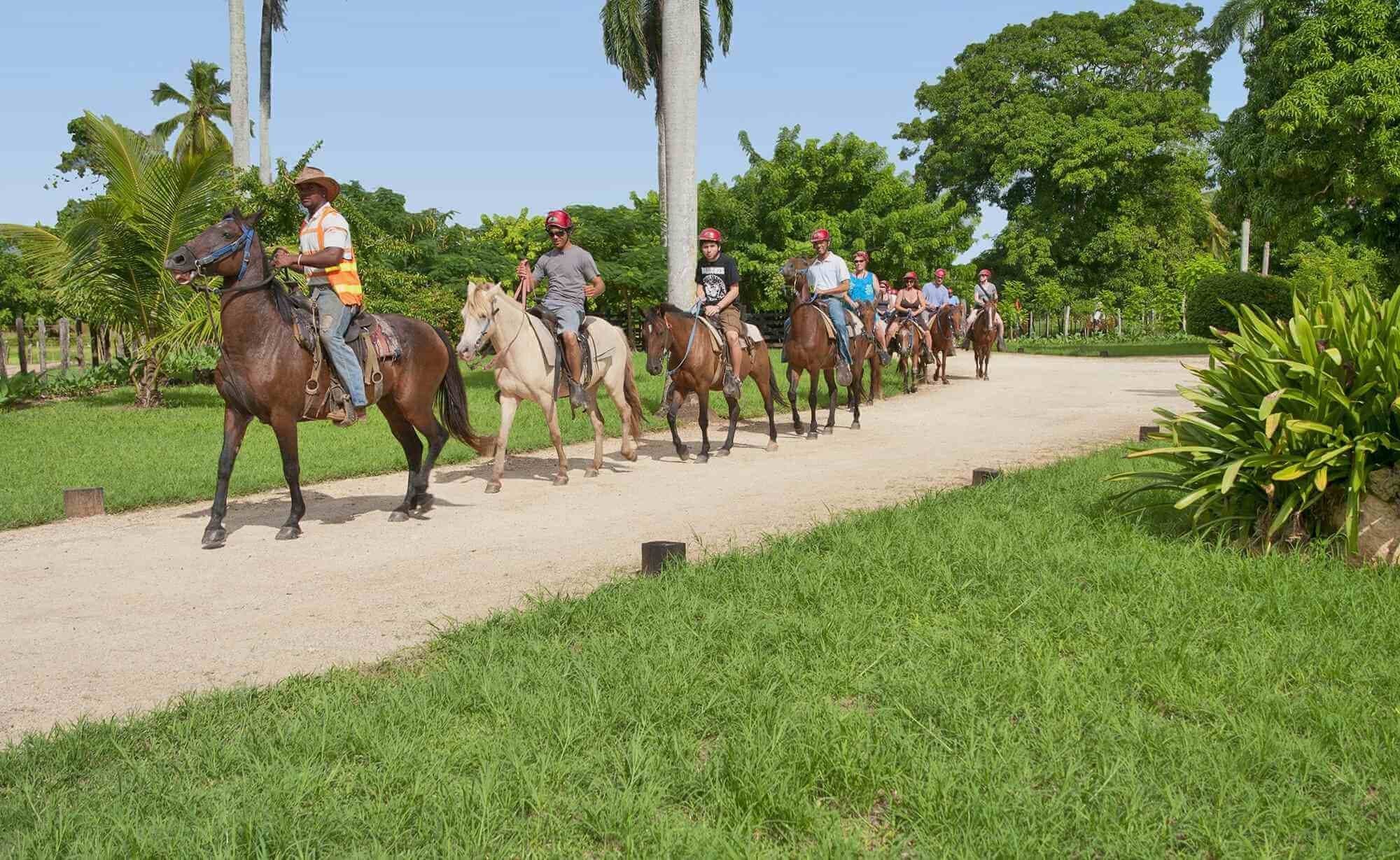Caribbean Shoreline Horse Ride: Two-Hour Beach & River Trail in Puerto Plata photo 4