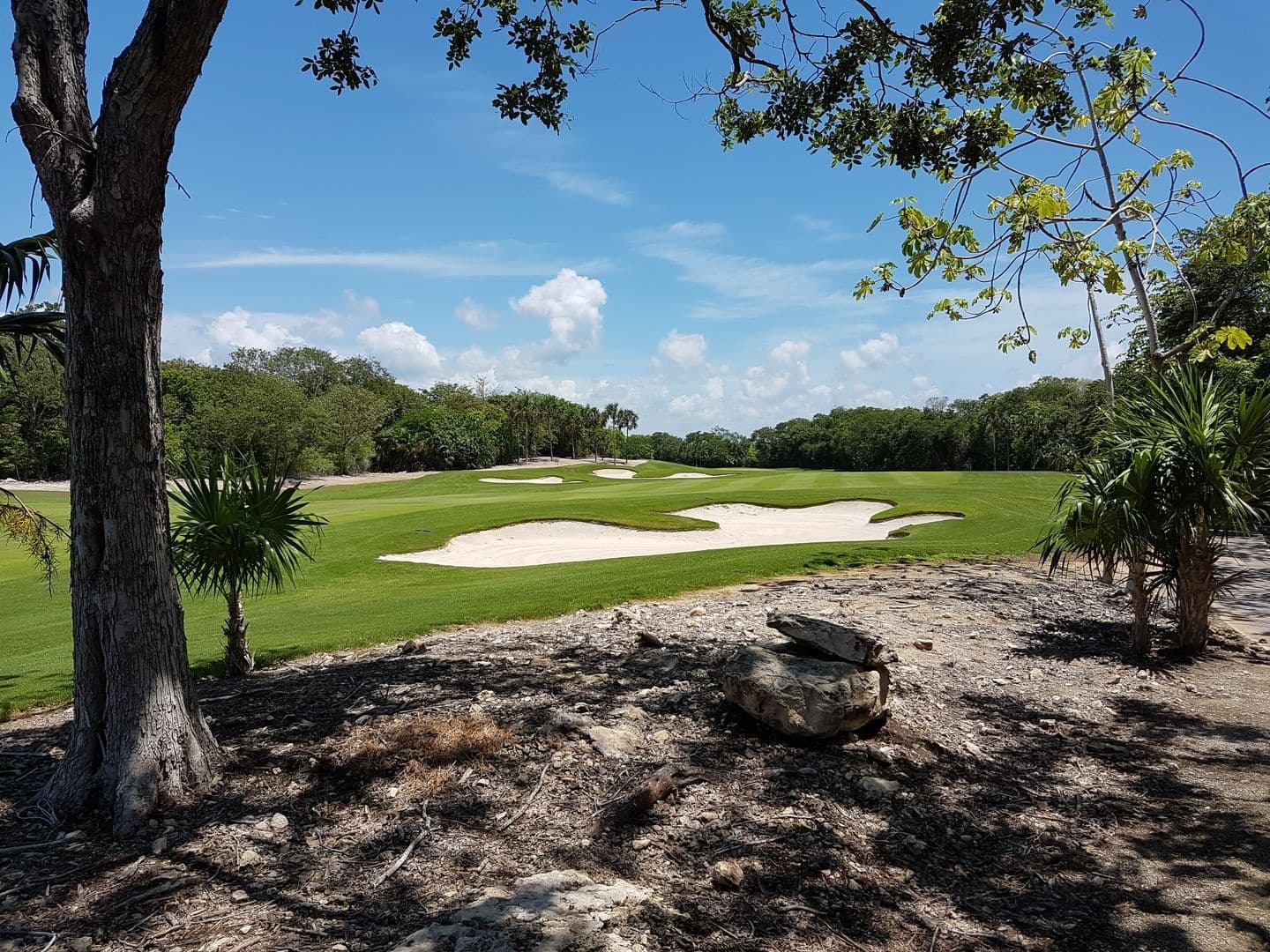 Golf Adventure at Coyote Golf Course in Cancun