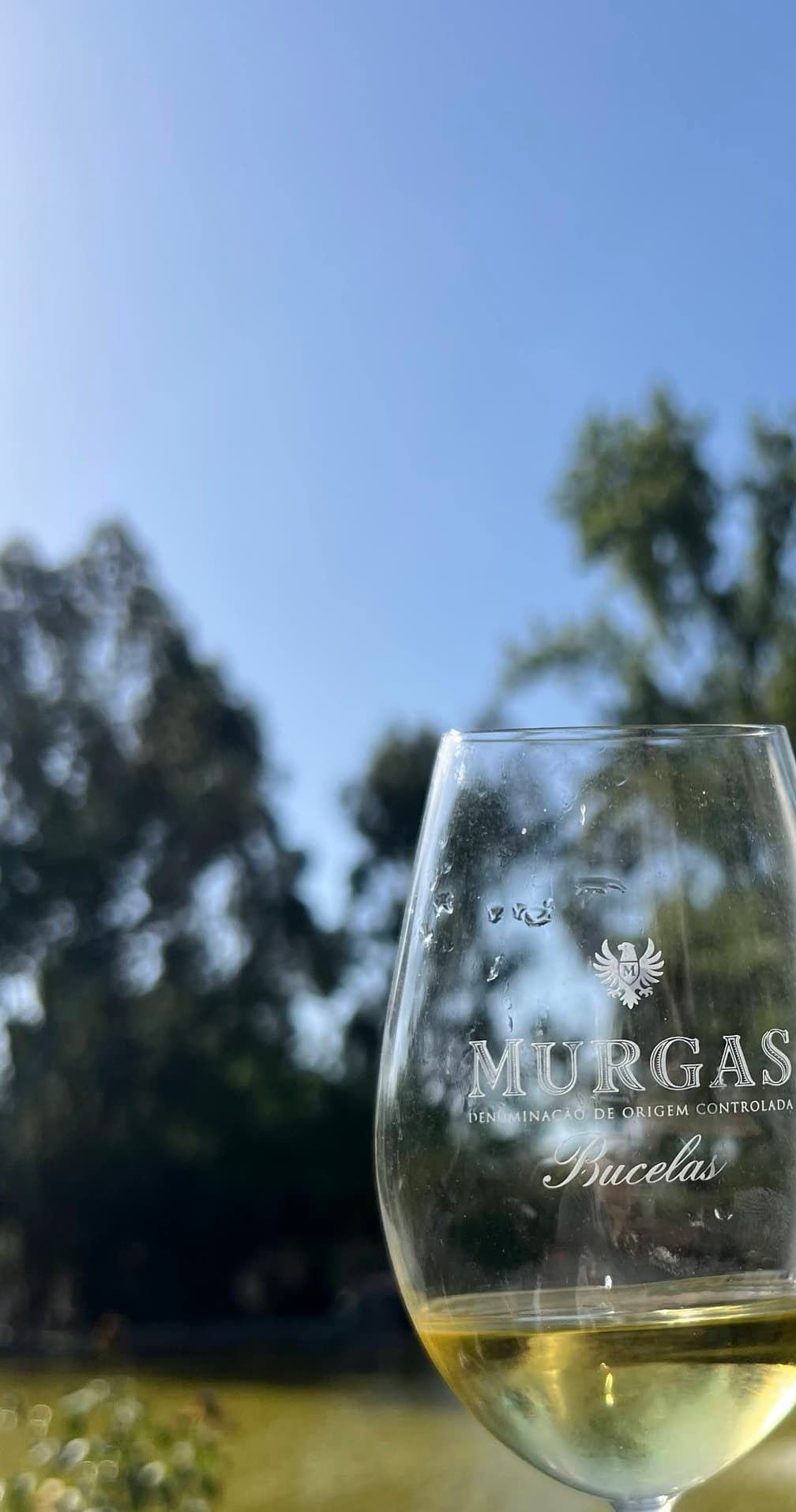Quinta das Murgas fleet