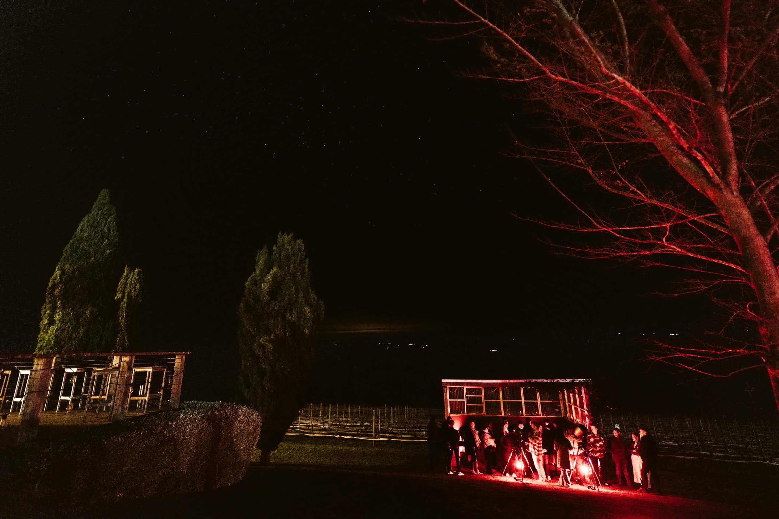 Sip Wine and Stargaze at Cupitt’s Estate — Ulladulla Night Tour