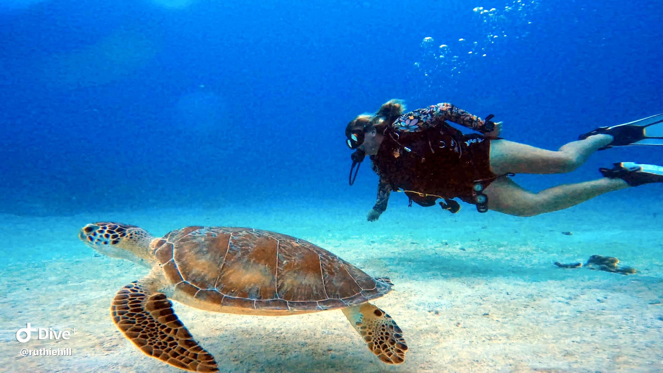 Private 2-Tank SCUBA Diving Adventure in Fajardo, Puerto Rico