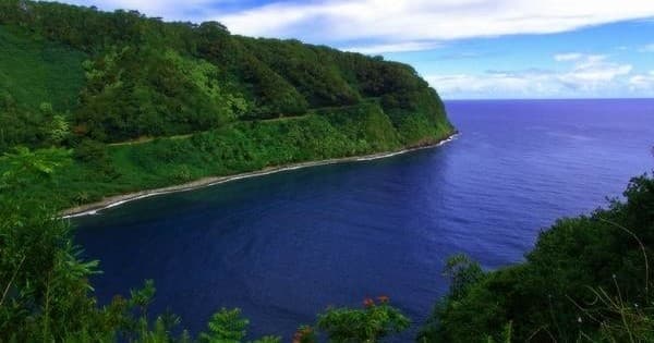 Aerial coastal cliff and ocean vista, lush green Maui shoreline