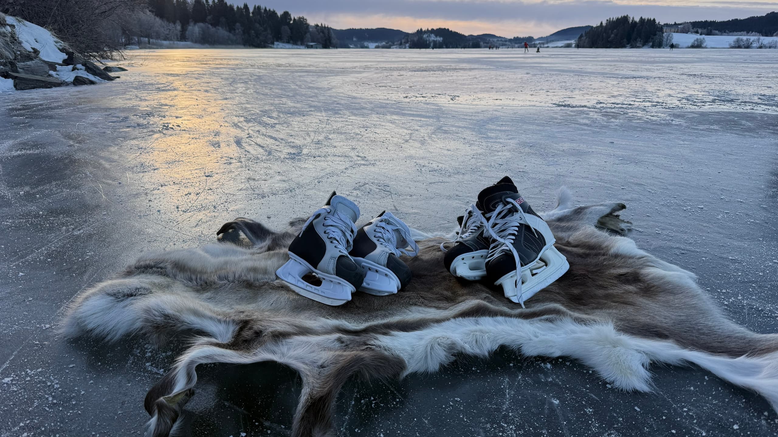 Wild Ice Trondheim: Guided Natural-Ice Skating Tours from Britannia Hotel
