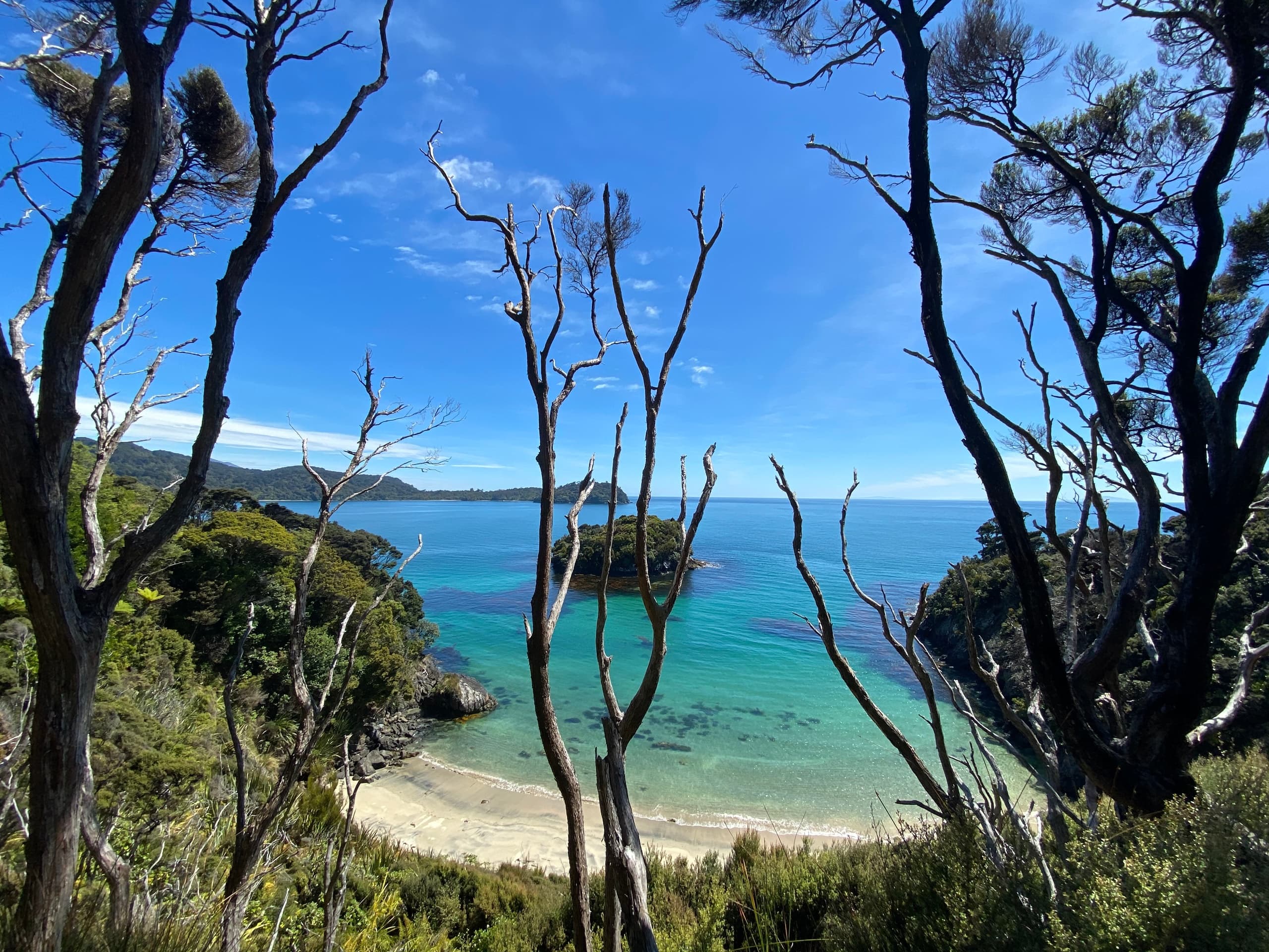 Explore Port William and Maori Beach: Iconic Guided Hike on Rakiura Track