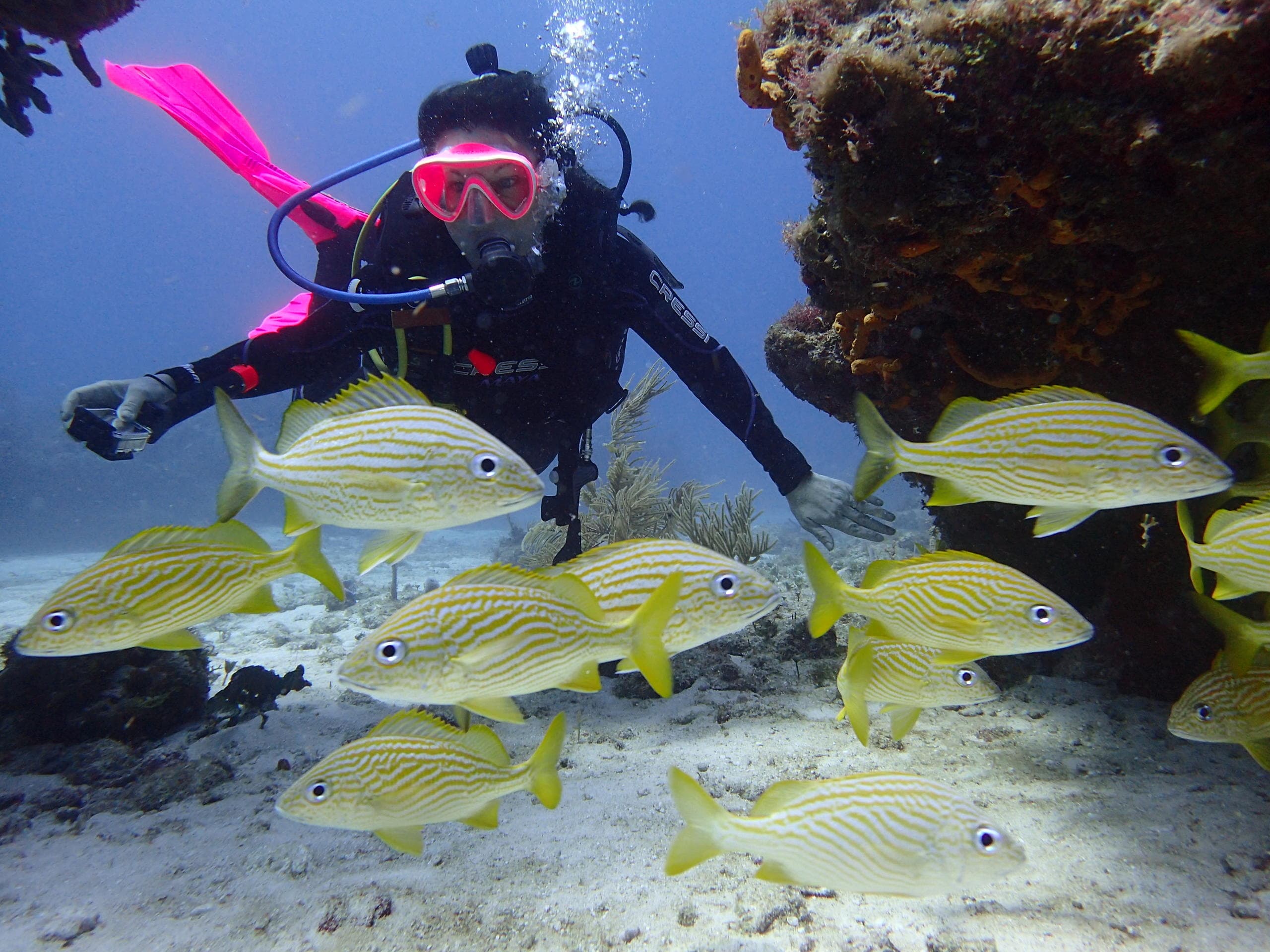 Water-Activities with Aquanauts Dive Adventures in [Location]