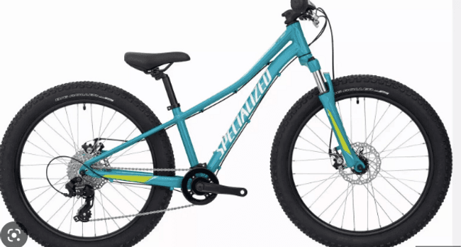 Kids Cycling Adventures with Front Suspension Bikes in Pisgah Forest