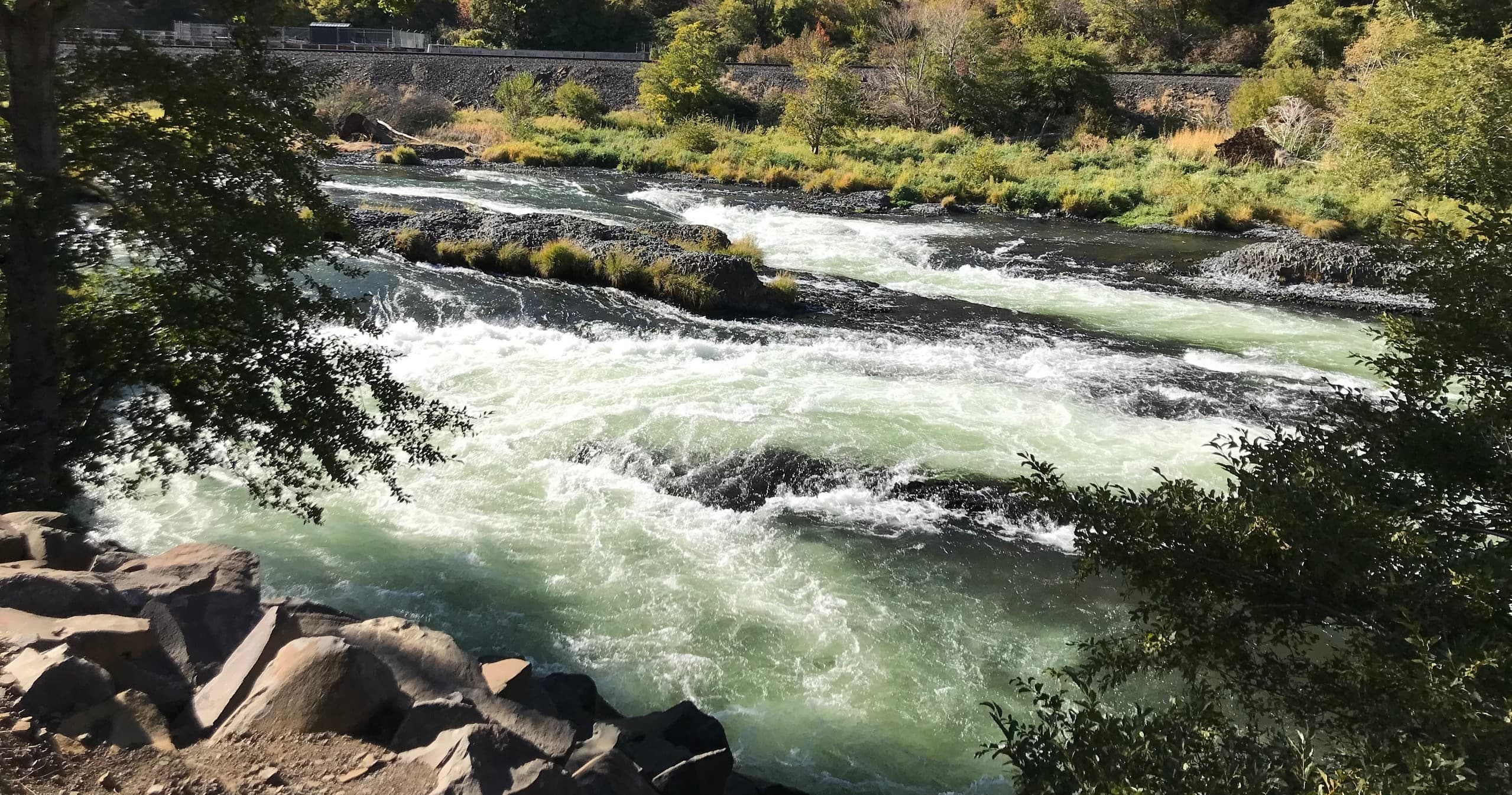 Whitewater rapids flowing through rocky river canyon