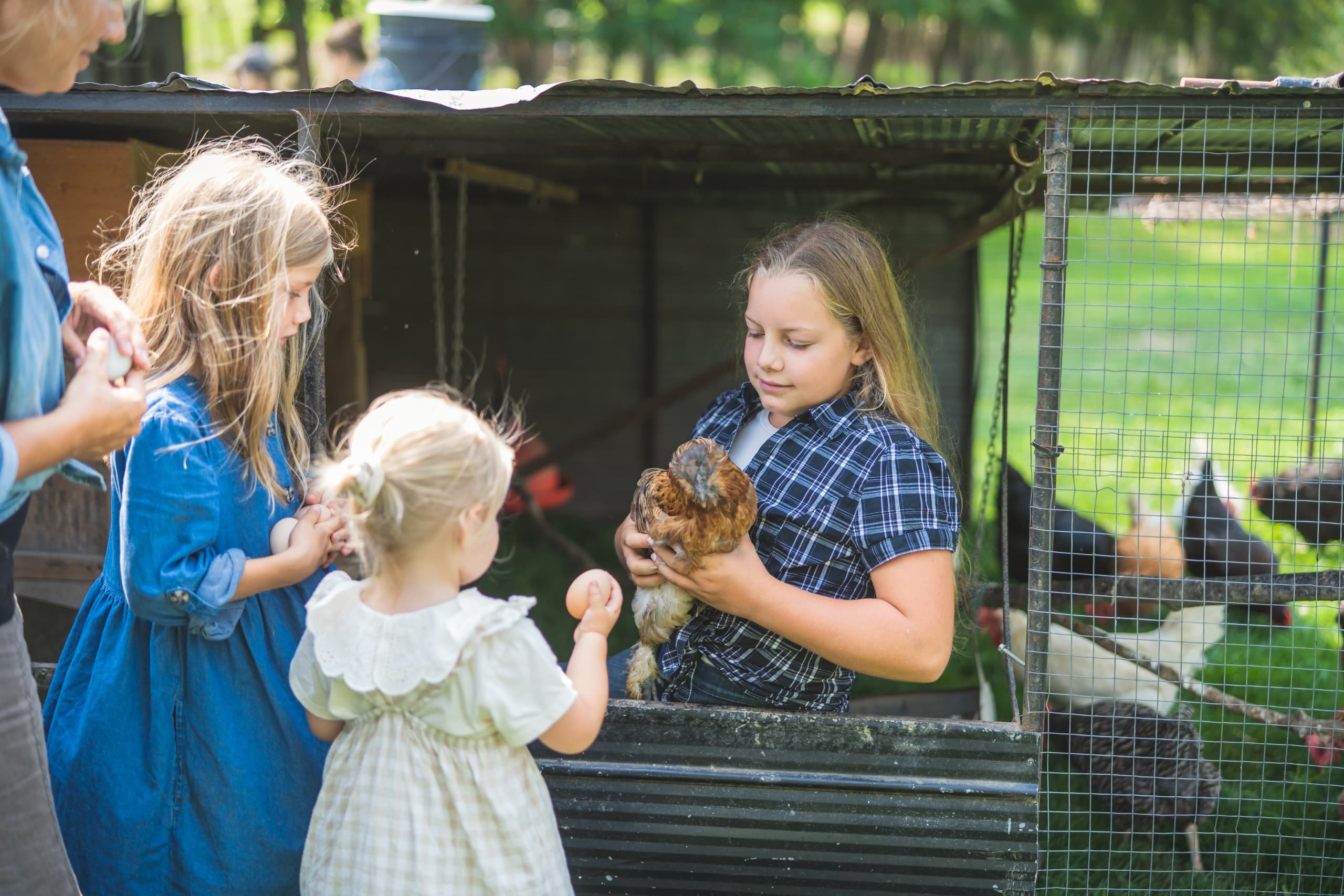 Hands-On Farm Life at Jireh Hills Family Homestead
