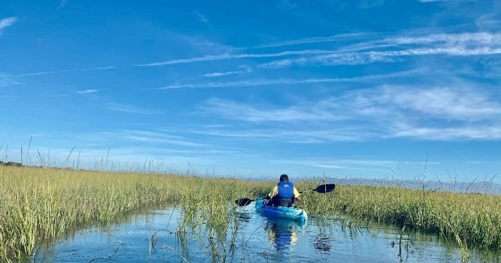 Paddle Walk Inc.: Little Tybee Island & Tybee Island Waters Adventure