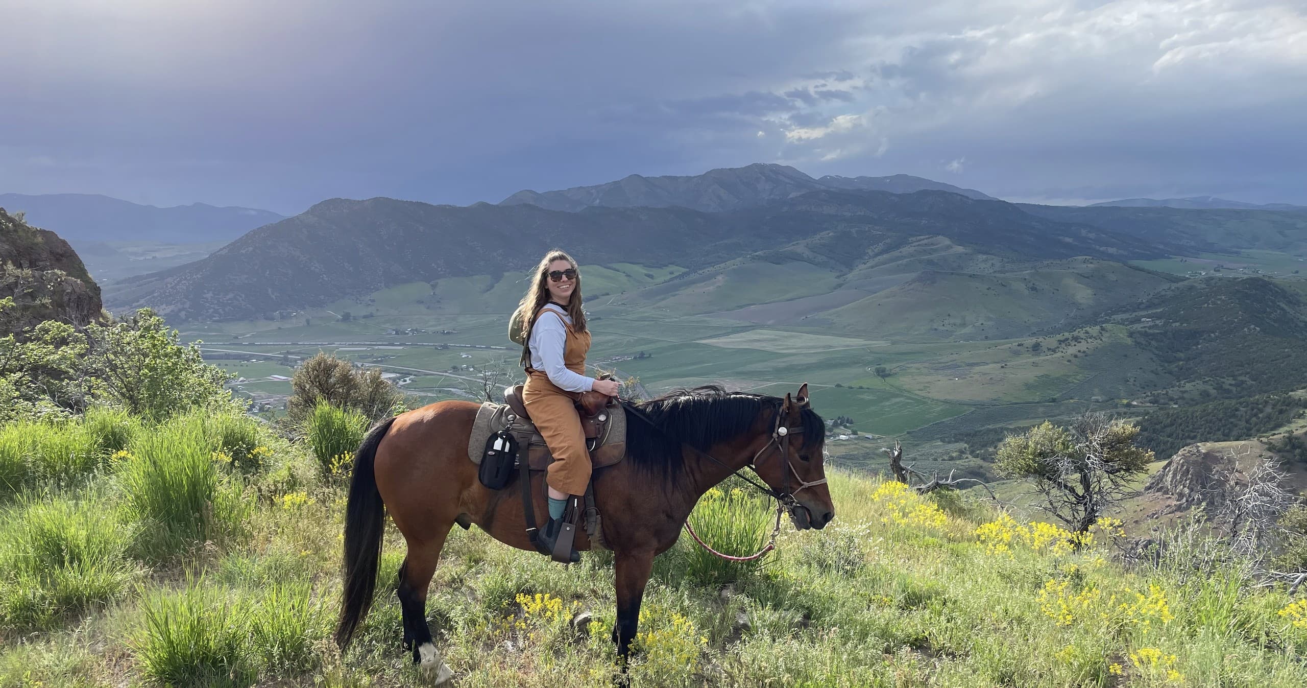 Lava Horseback Adventures LLC fleet