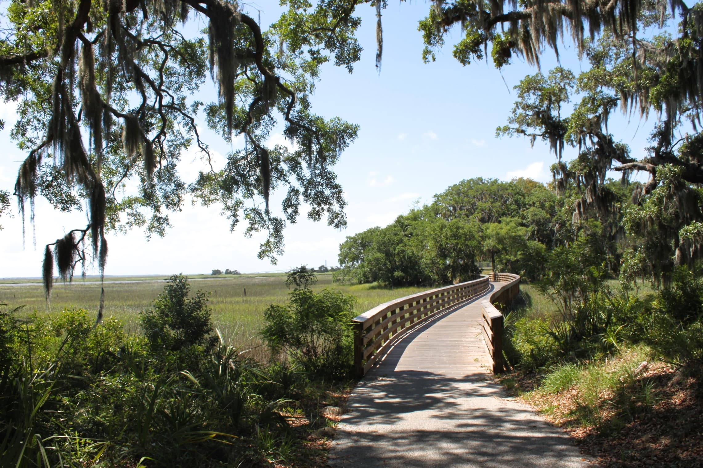Cycling Adventures with Cruiser Bikes on Hilton Head Island