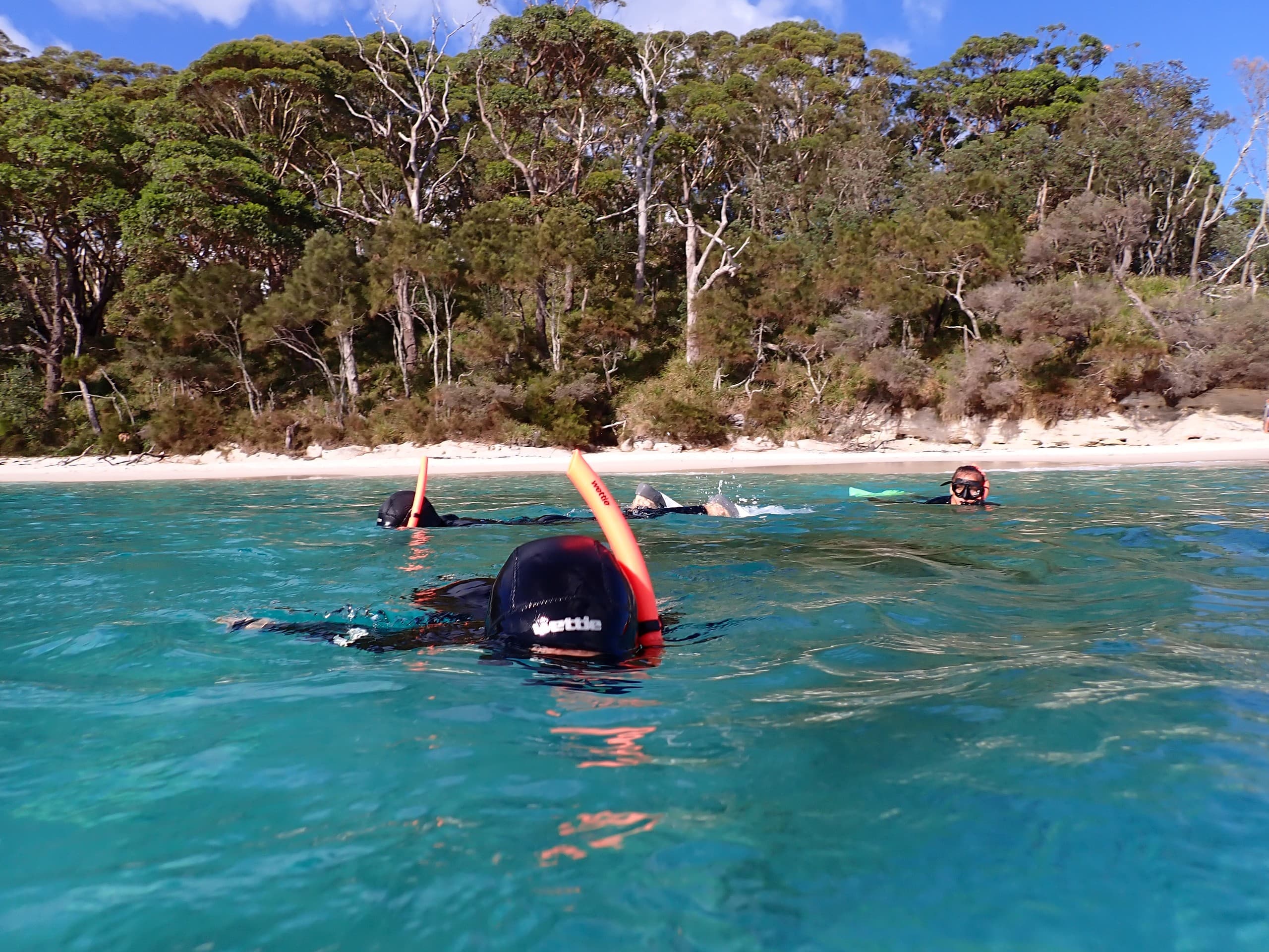 Private Boat Tour of Jervis Bay: Snorkel, Dolphins & Coastal Cliffs photo 3