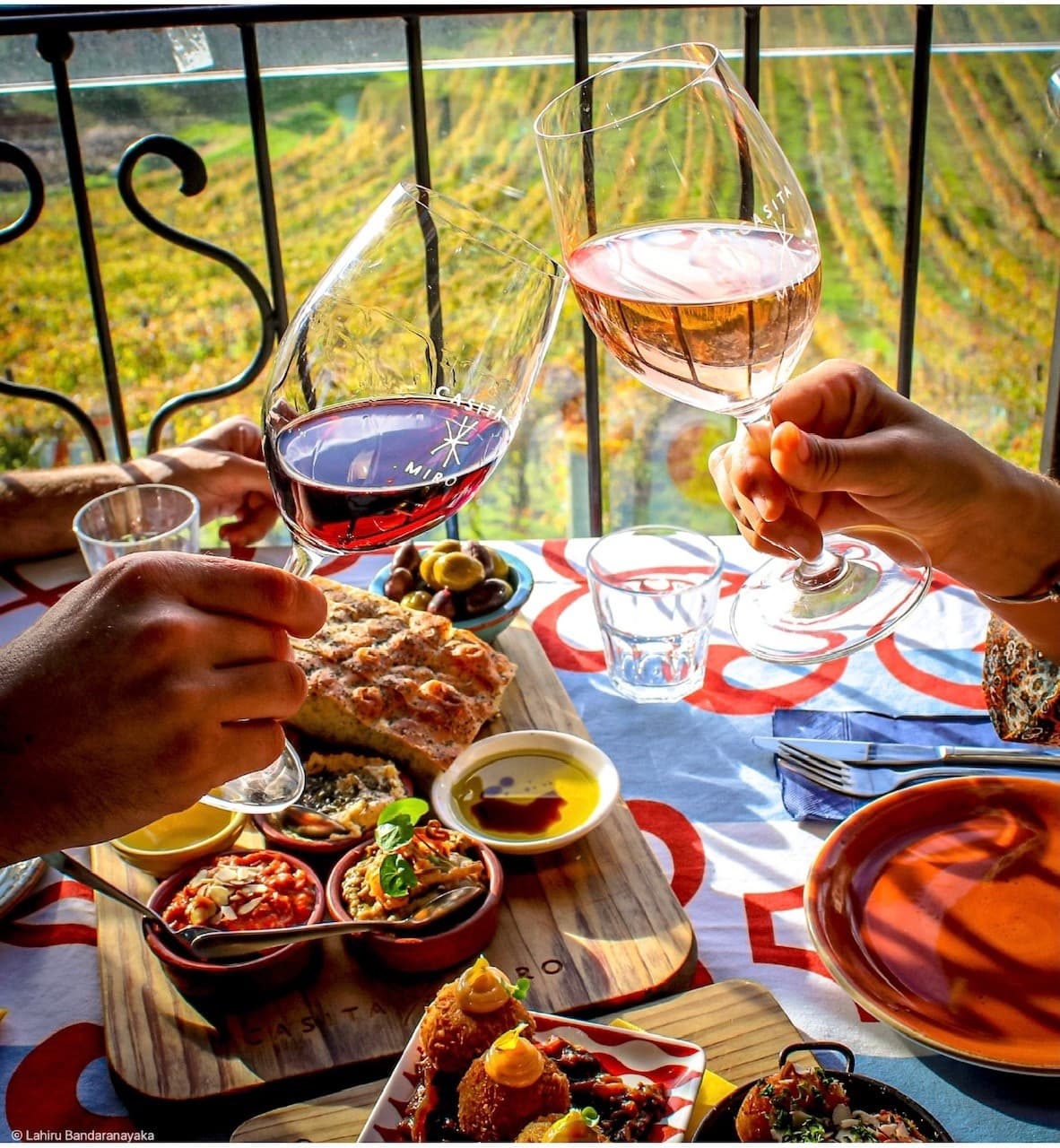 Discover Waiheke Island’s Gourmet Food and Wine Tour: A Culinary Adventure Near Auckland