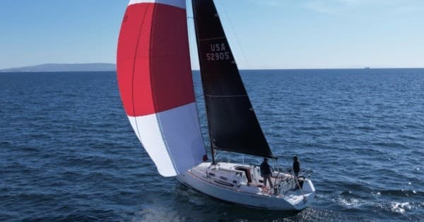 Water Activities: Charleston Harbor Cruise with Blue Life Charters