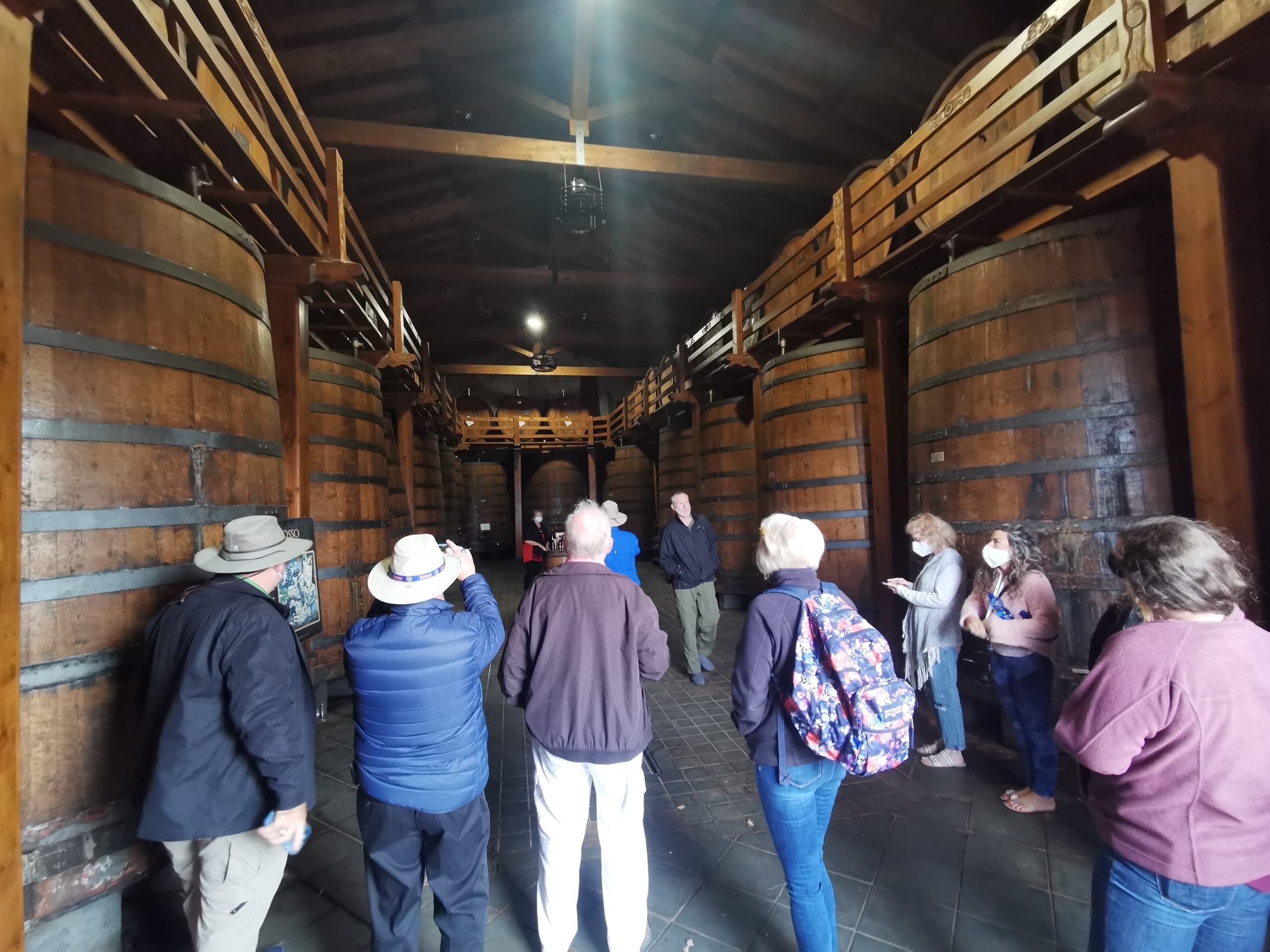 Volcanic Wine Tour & Scenic Sips near Catania