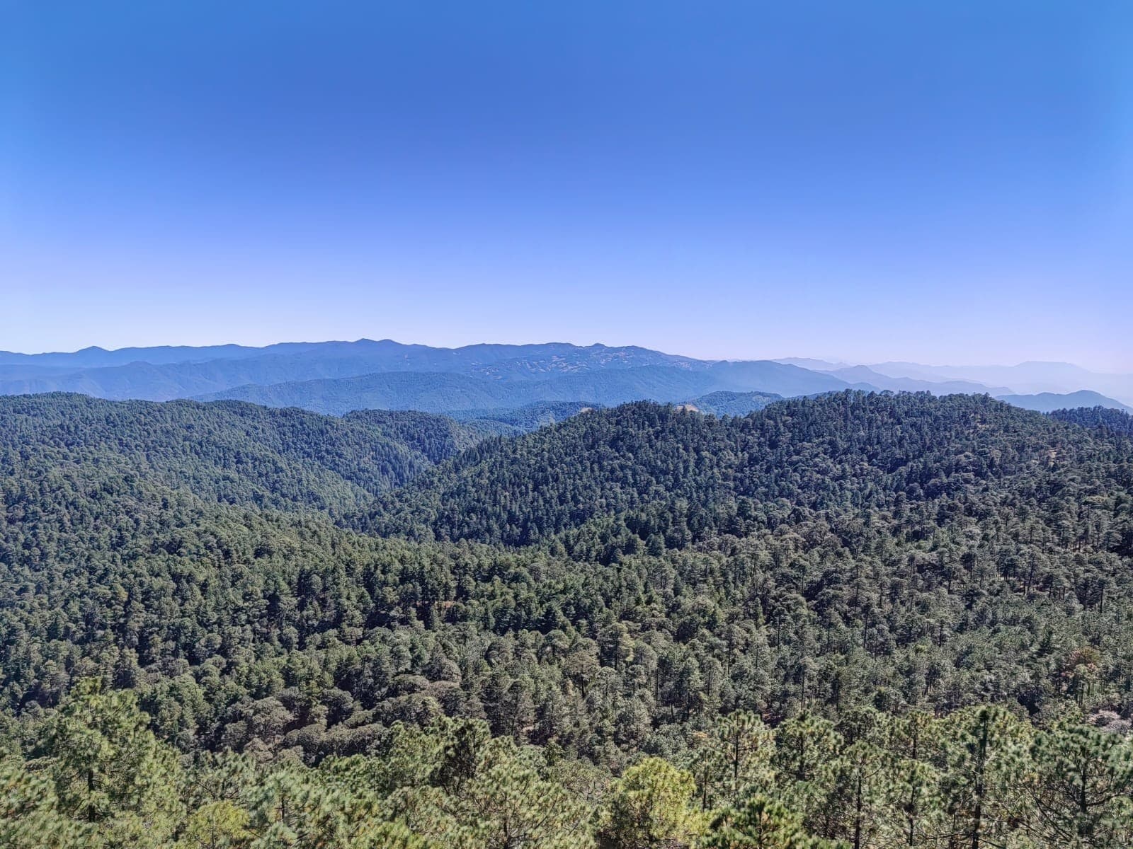 Ixtepeji Summit: Cloud-Forest Hike, Oaxacan Lunch & Molinillo Workshop