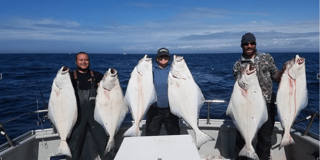 Ninilchik Charters fleet