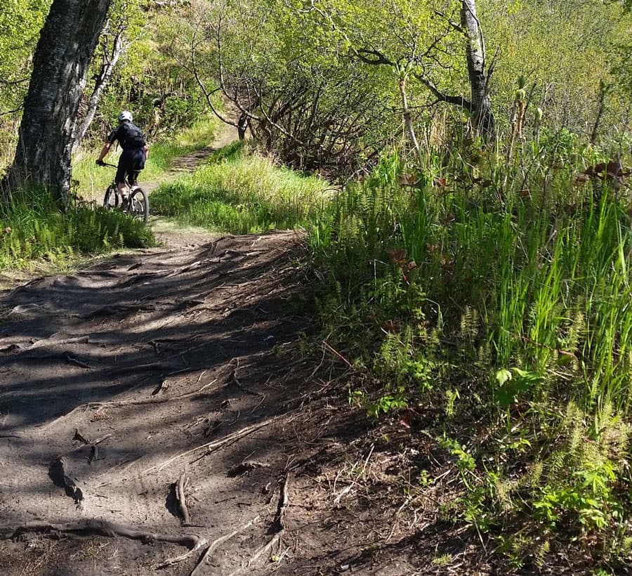 Beginning Singletrack Mountain Biking in Anchorage, Alaska
