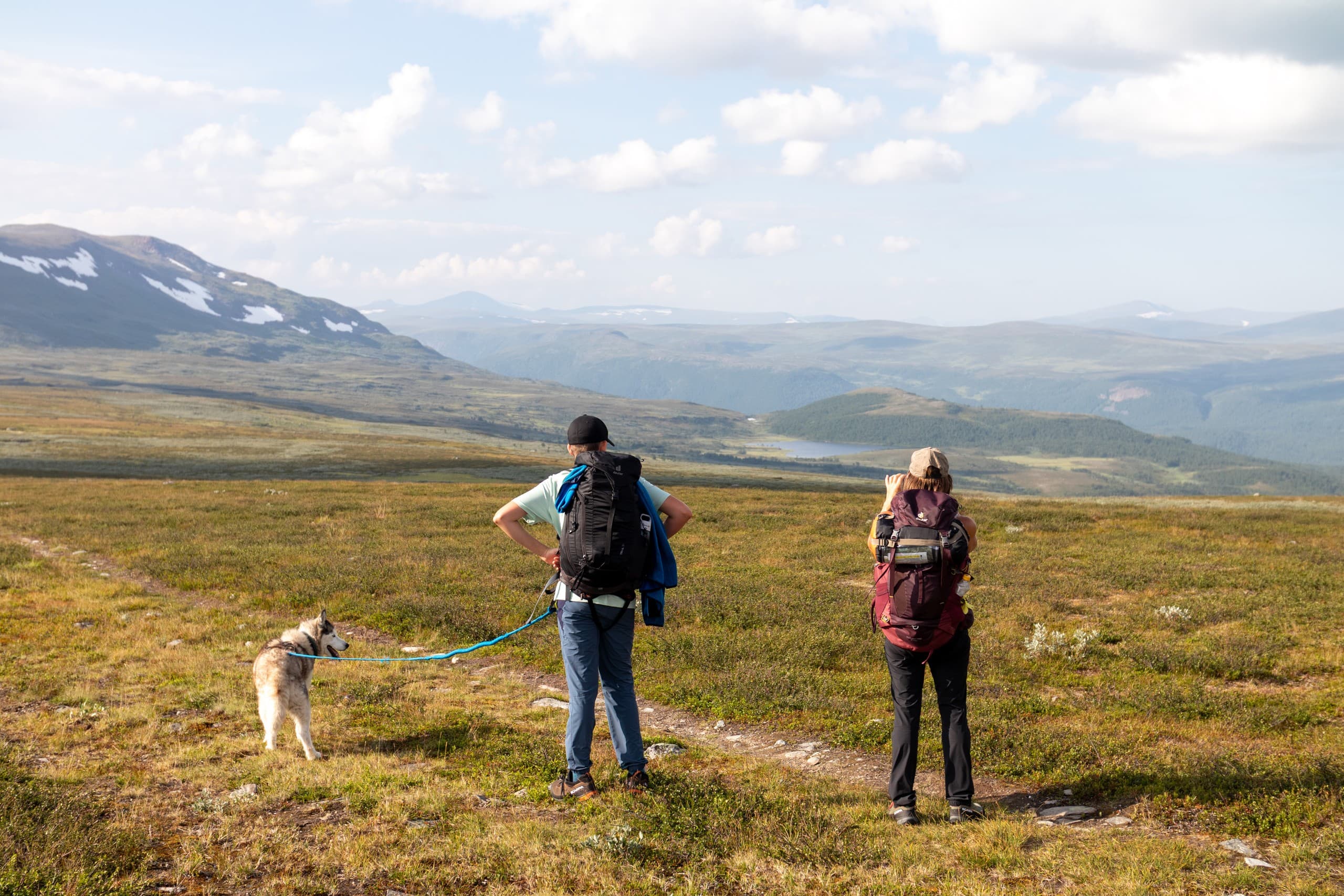Husky-Led Nature Retreat in Rentjärn, Sweden — 7-Day Mentoring Week photo 4