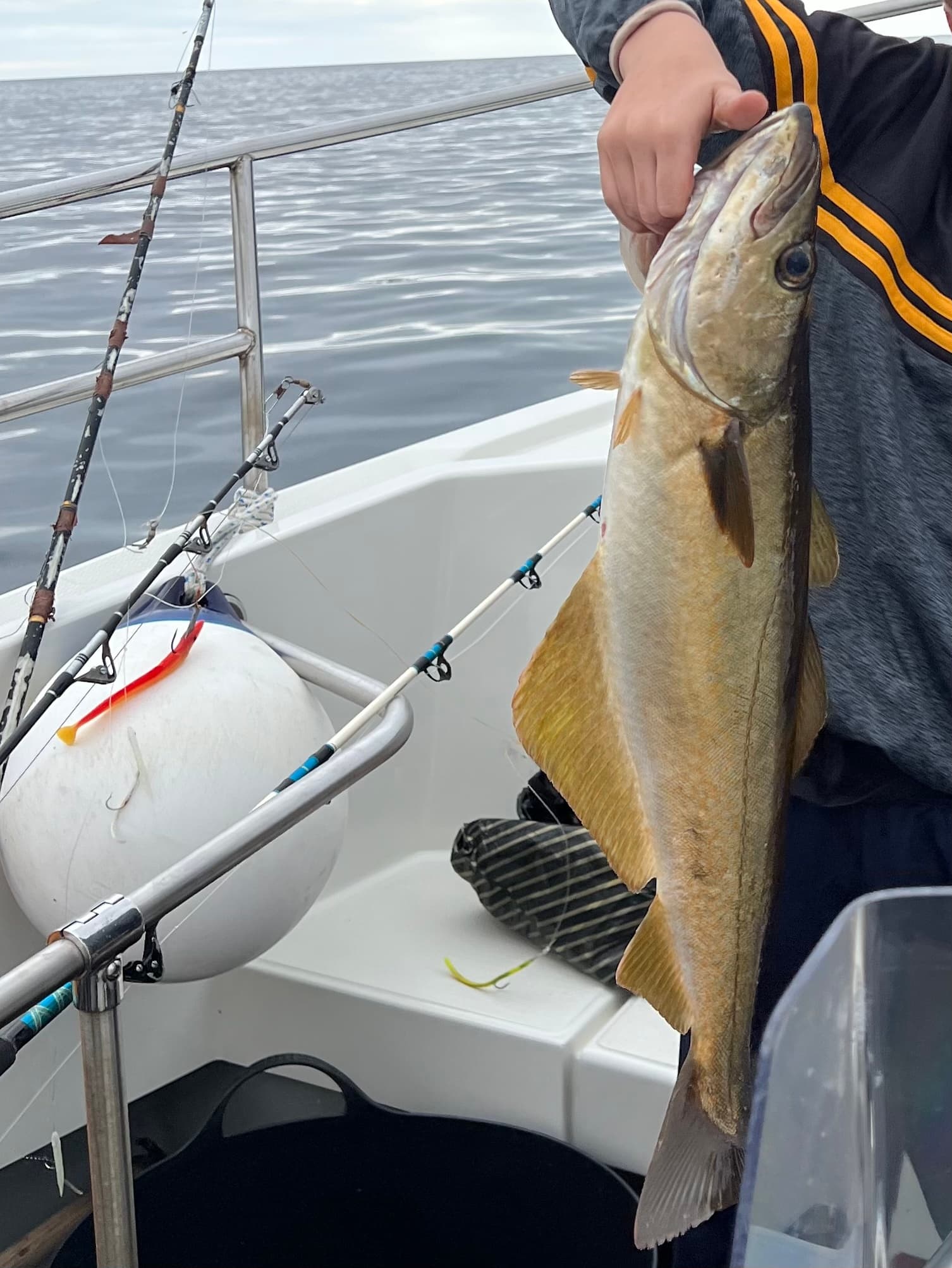 Angler holding large fish on boat deck during offshore sea fishing