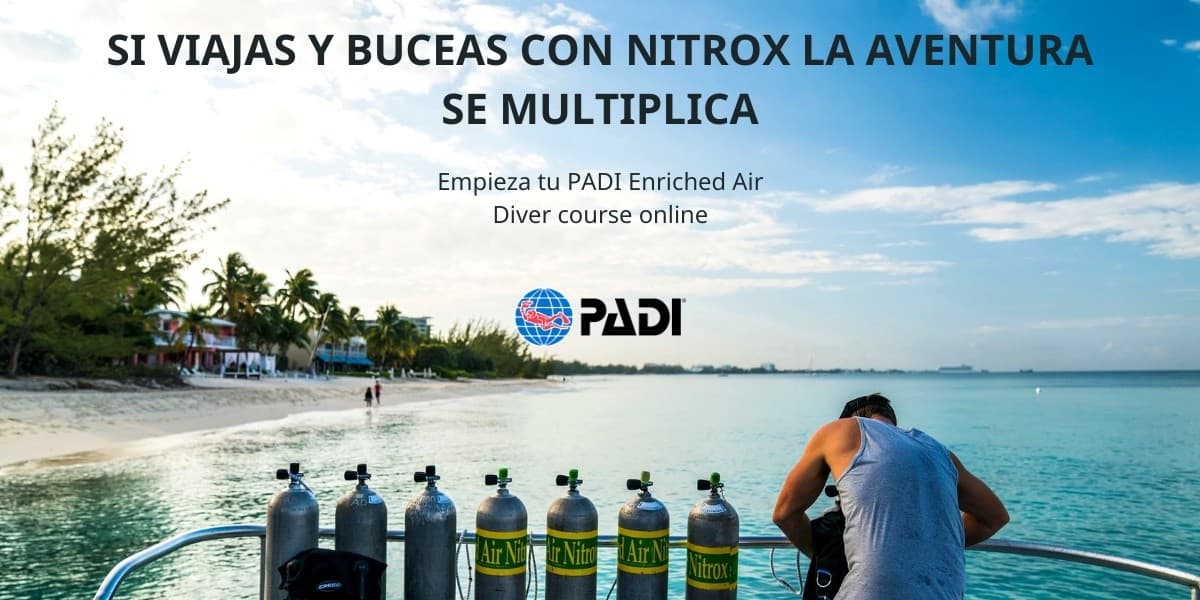 Nitrox Dives in Bahía de Jávea: Two Guided Mediterranean Dives