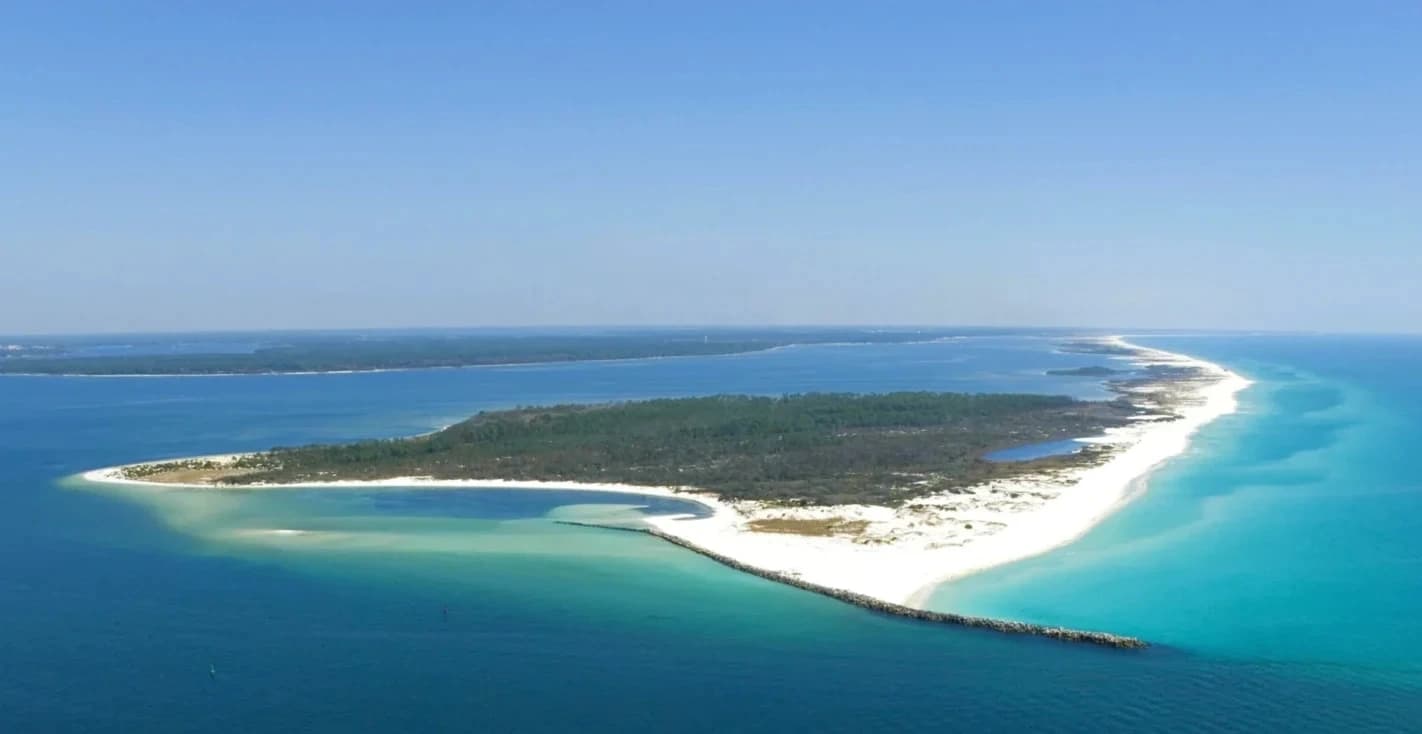 Explore Shell Island: Private Snorkeling & Dolphin Adventure Near Panama City