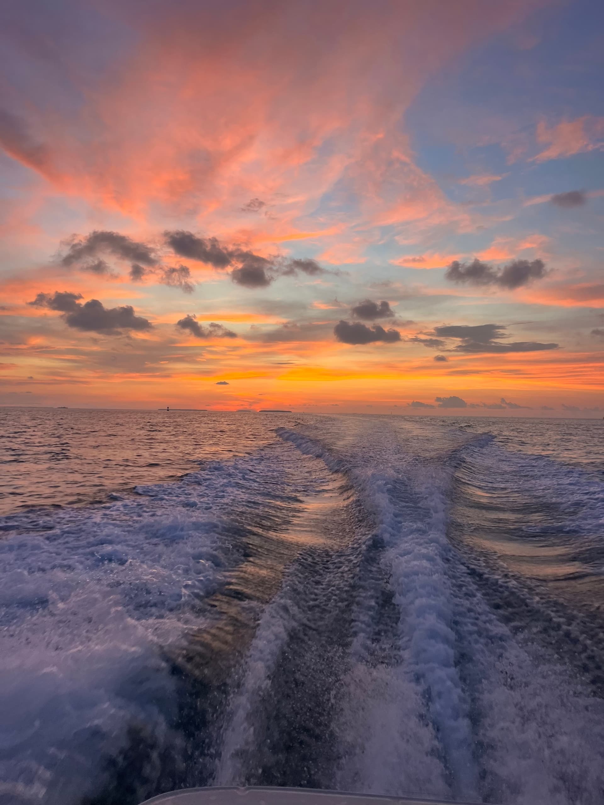 Sunset Cruises with Blue Arrow Charters in Islamorada