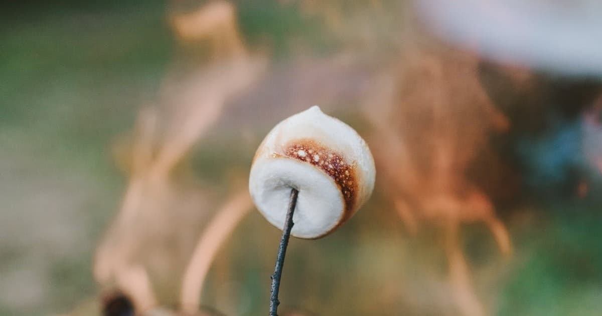 S’mores Firepit Experience at Eddy Bay Resort