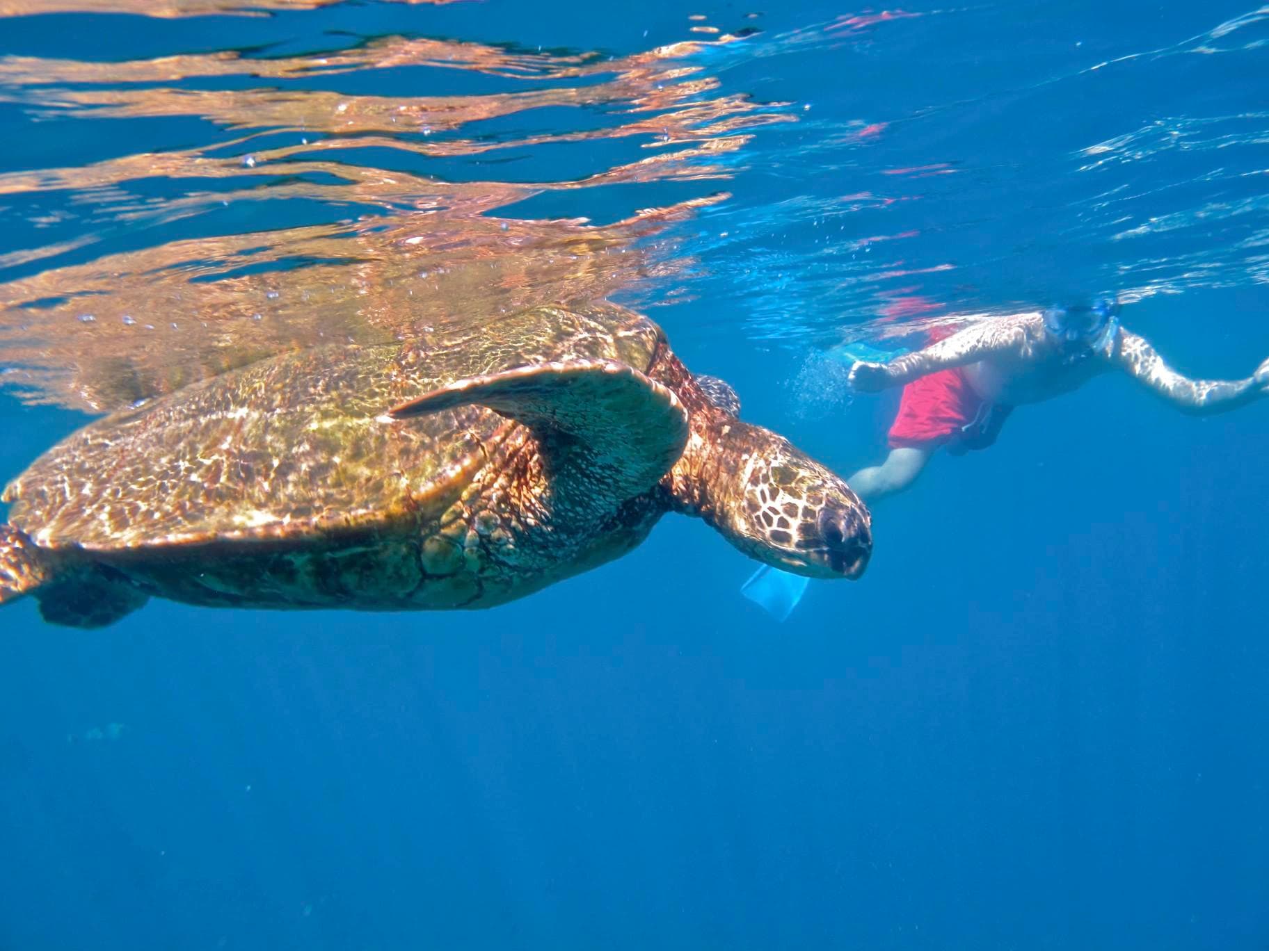 Kayak in Kihei, Hawaii