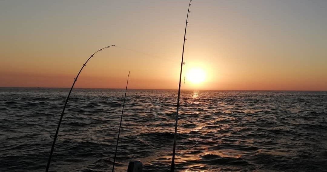 Fishing rods silhouetted at sunset over open ocean waters