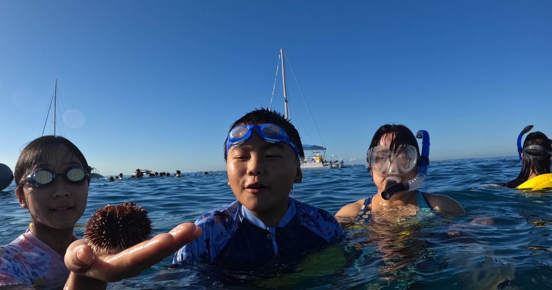 Waikiki Turtle Canyon Snorkel: Guaranteed Turtle Sightings & Diamond Head Views photo 1