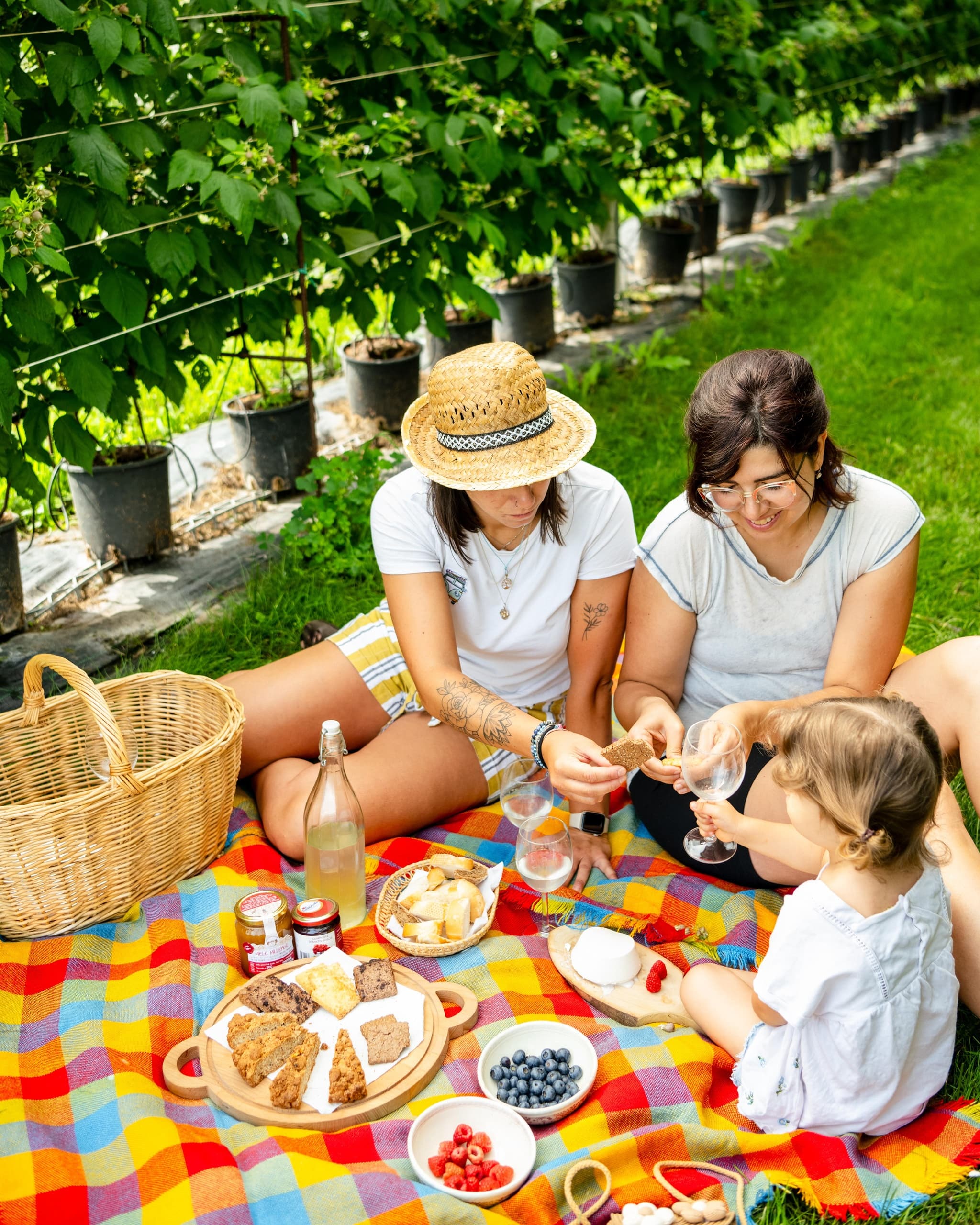 Fruit Picking & Tasting with Azienda Turismo Val di Sole
