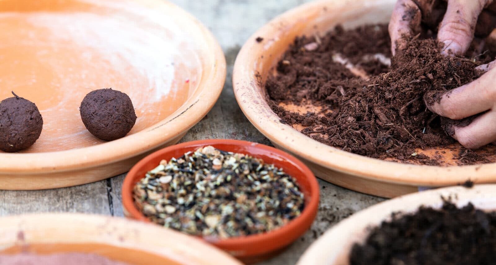 Create Pollinator Seed Bombs at Lost River Cave in Bowling Green, KY