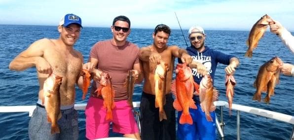 Big Fish and Bold Adventures: Coletta Sport Fishing in San Diego