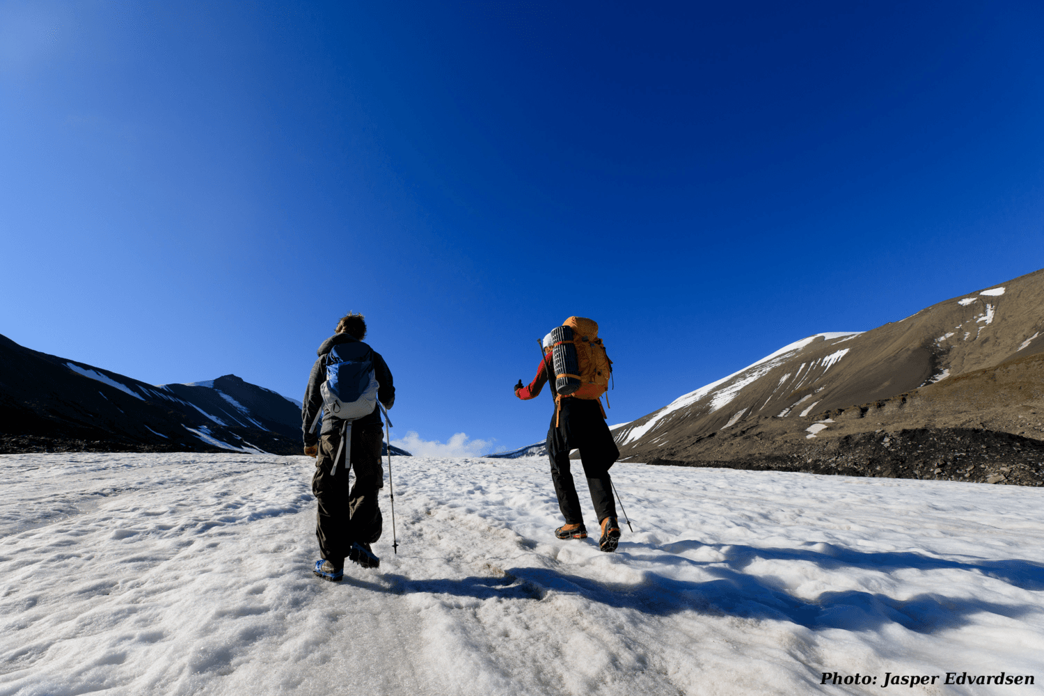 Custom Svalbard Tours from Longyearbyen: Tailor-Made Arctic Hikes & Field Trips