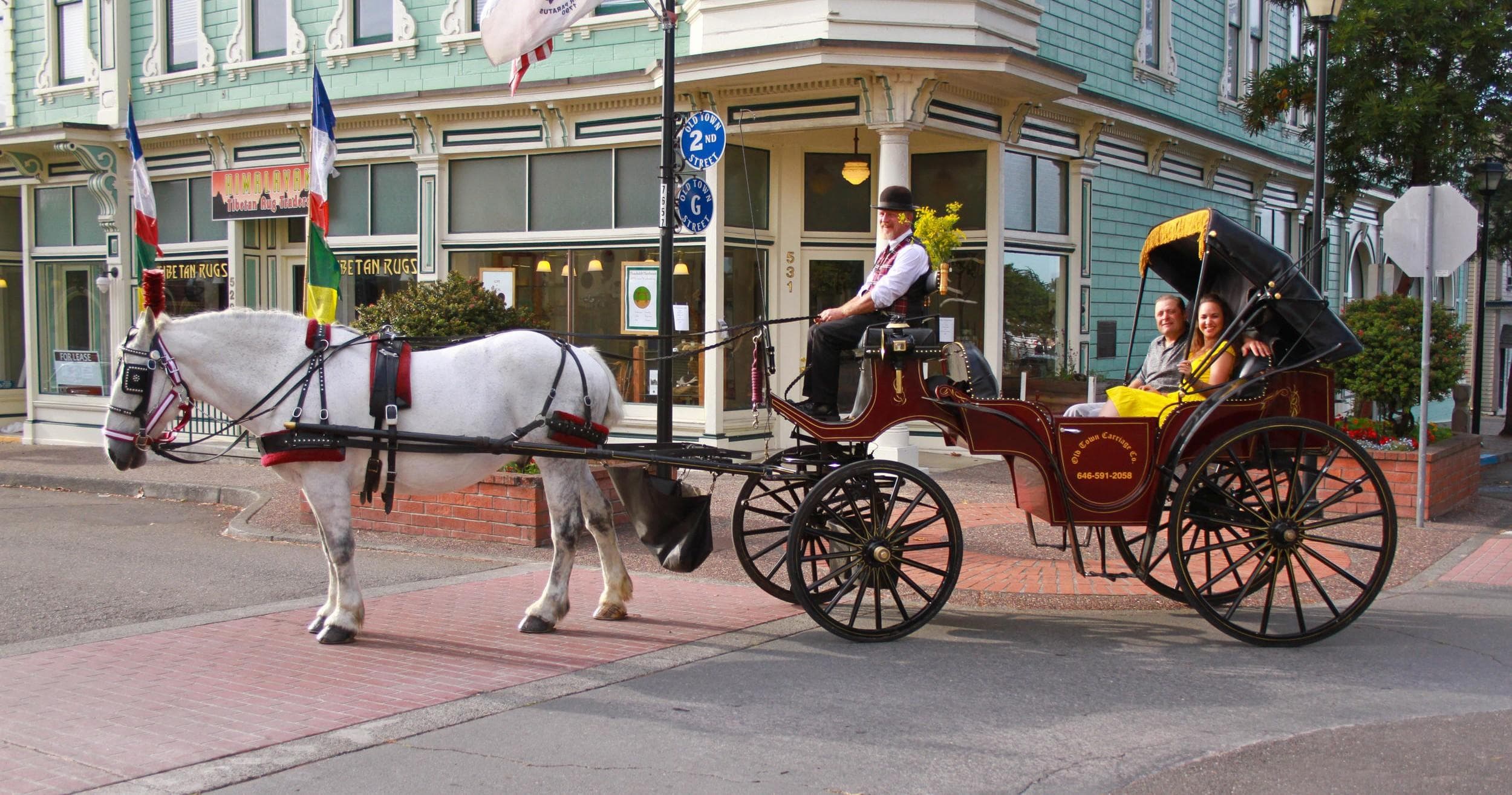 Horse-drawn carriage touring historic downtown streets in Old Town