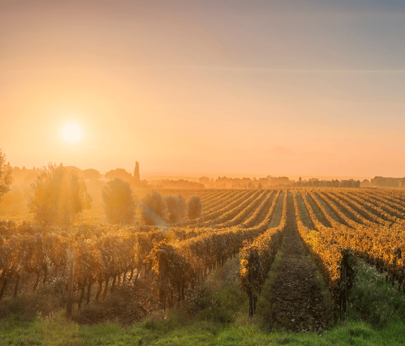 Tirrenica Calabria Food & Wine Journey — Five-Day Grape Escape