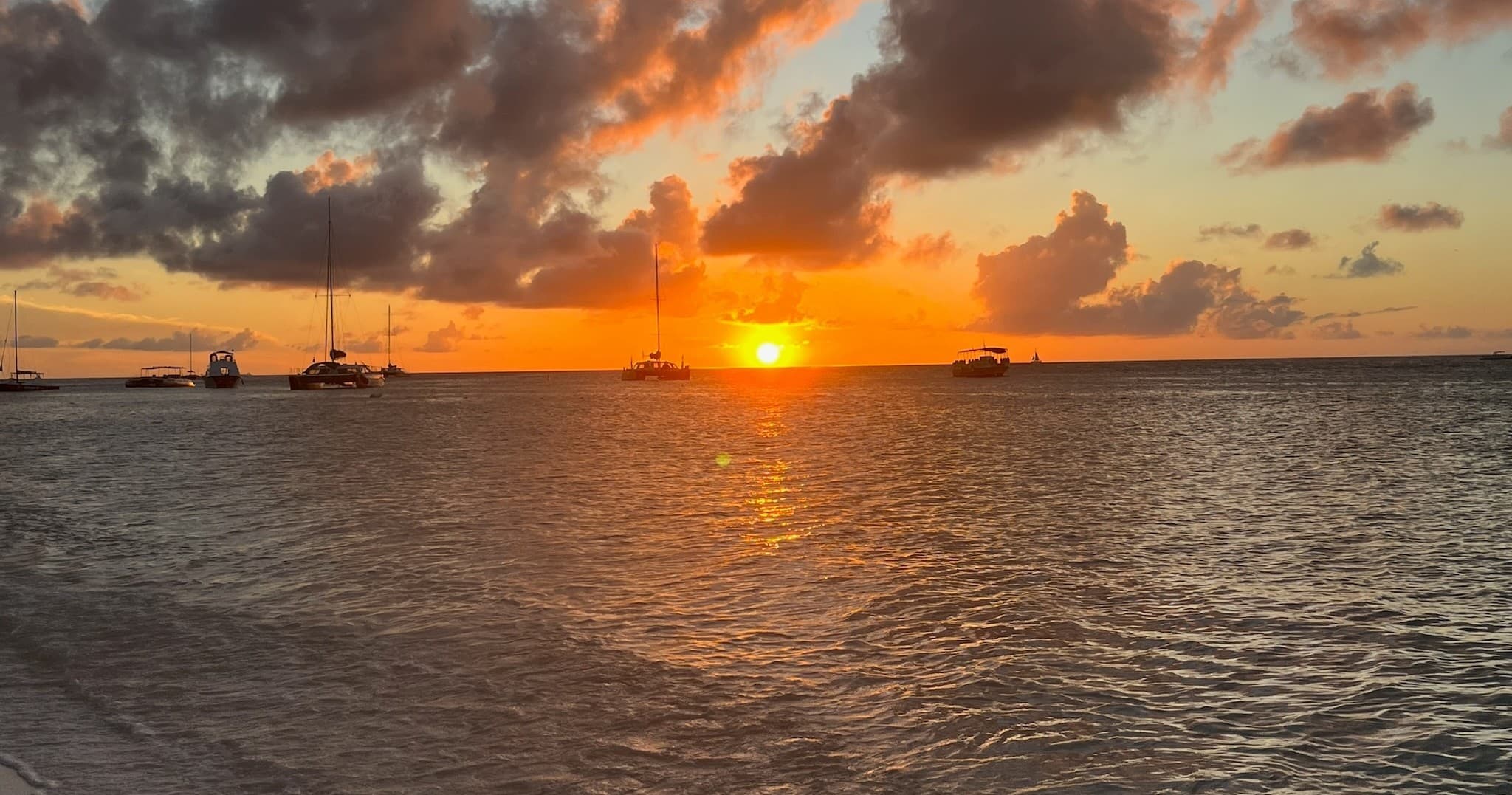 Explore Keewaydin Island: Shelling, Dolphins, and Pristine Beaches near Naples, Florida