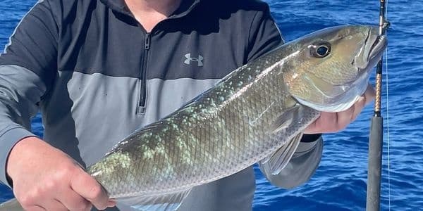 Angler holding large fish on offshore boat in open ocean waters