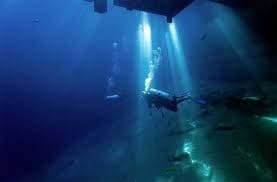 Top Dive Trips From Florida to the Caribbean: Explore Wrecks, Springs & Coral Reefs