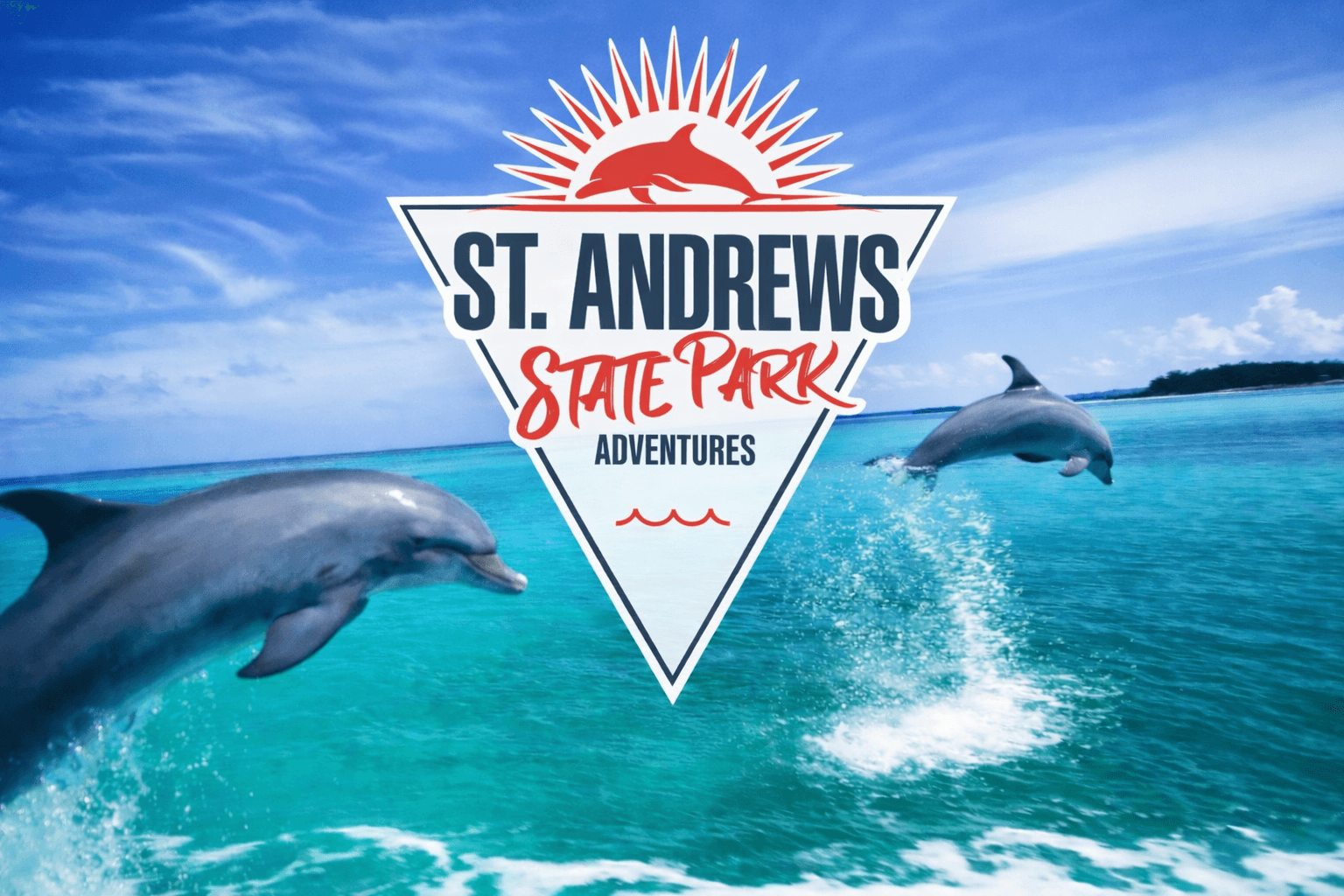 Daytime Dolphin Tour Aboard the Double-Deck Catamaran Sea Hawk from St. Andrews State Park